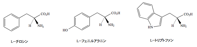 解説画像